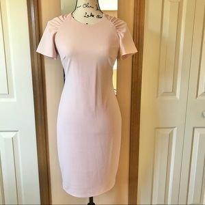 NWT Calvin Klein dress
